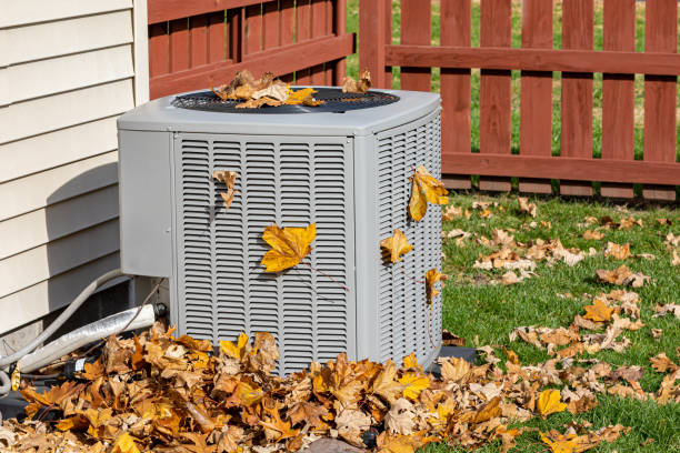 Best HVAC Installation Services  in Mount Morris, MI
