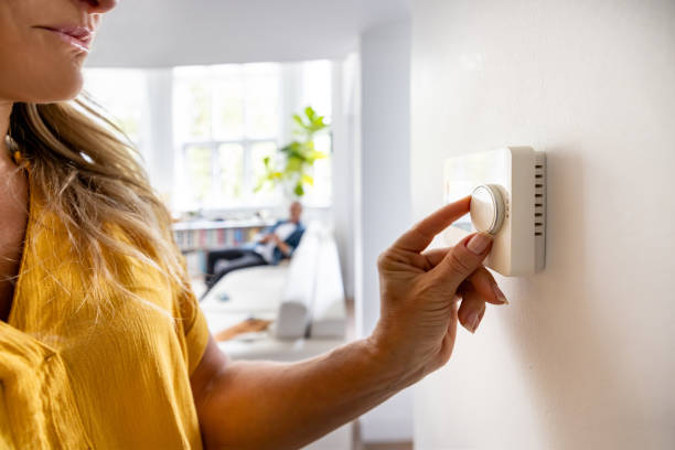 Best Affordable HVAC Services  in Mount Morris, MI