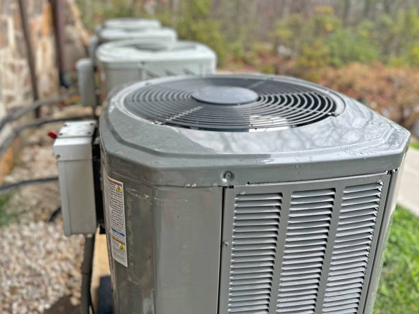 Best HVAC Air Duct Cleaning  in Mount Morris, MI
